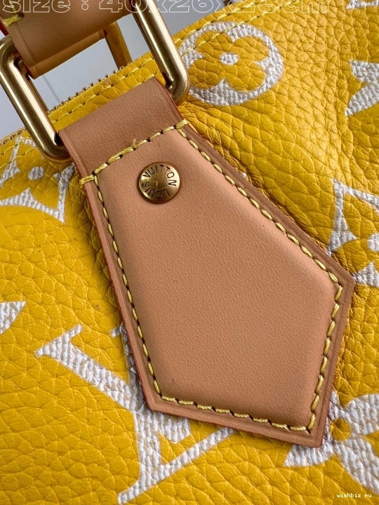 WIS SPEEDY 40 Louis Vuitton 1202